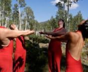 Dancers in the Return Dance Project dancing with Pando Aspen Colony: the largest living organism on Earth by weight. He is male. He sings in the wind. Some say he has lived over one million years. Every