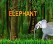 Learn the ABCs_ _E_ is for Elephant(480P).mp4 from learn the abcs e is for entertainm