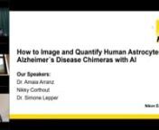 Dr. Amaia Arranz studies Alzheimer´s disease using murine xenograft models of human neurons and glial cells exposed to disease-associated factors. Dr. Arranz aims to unravel human-specific pathways and mechanisms involved in the pathogenesis of Alzheimer´s and other neurodegenerative diseases to aid their diagnosis and treatment. In her talk, Dr. Arranz will present her research and elucidate the use of Denoise.ai in astrocyte quantification.nnMrs. Nikky Corthout is an expert microscopist dedi