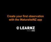 Kia ora, you are at least 13 years old, or you have caregiver permission, and have downloaded the free iNaturalistNZ app for citizen scientists from Google Play or the Apple Store.nnYou are in your backyard, in a broad sense - it does not need to be at your home, and are ready to take your first observation of some living thing (not a pet or a human) and get it identified. Smartphonesautomatically GPS-tag observations but you can hide your location if you wish.nnFor a first observation, try a