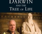 CHARLES DARWIN E A ARVORE DA VIDA - Charles Darwin and the Tree of Life (2009) from escolar