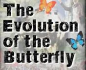 Renowned cellular biologist, Dr. Bruce Lipton narrates the process of a caterpillar transforming into a butterfly over a milieu of imagery in