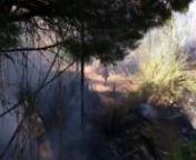Incendio in valle Armea: scampata al rogo la madre dei proprietari, danni ingenti e cause accidentali from rogo