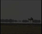 הסרט צולם במדבריות צפון קניה בדרך לאגם טורקנהnמוסיקה : אסף גבעתיnThe film was shot in the deserts of northern Kenya on the way to Lake Turkananmusic :Asaf Givati