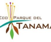 Amidst a tropical mountain range, close to the canyons and caves of the Tanamá River, Eco-Parque del Tanamá will offer you a unique natural experience: A place to restore your soul, challenge your body or simply reconnect with Nature, with fun and eco-friendly activities for couples, families and groups.nnCome enjoy Eco-Parque del Tanamá, opening in 2014.