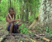 Jadav Payeng who is fondly called as Mulai, is an environmental activist. He upgraded a sand bar in the river Brahmaputra to a sprawling forest – “Mulai Kathoni” (Mulai’s forest), near Kokilamukh in district Jorhat in the state of Assam, in the North-East part of India. Total area of the forest is about 1000 hectares. He started his journey of plantation in 1979 when he was just 16. For 30 years, even forest authorities were unaware of existence of this forest when in 2008, a herd of ele