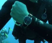 Diving With The Vulcain Cricket Nautical from cricket