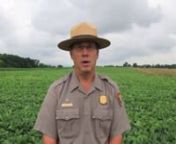 NPS historian Keith Snyder describes the opening acts of the Battle of Antietam in this video centered on the North Woods.This video is but one of the historian videos that you can find in our Antietam Battle App:www.civilwar.org/battleapps.