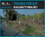 The tribal belt in Gujarat has long been a Congress bastion. This year, Aam Aadmi Party&#39;s entry has further split the electorate.&#60;br/&#62;