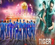 Men&#39;s Cricket World Cup led to fall in box office collection of Tiger 3.