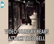 Police in California chased three bears away from a Taco Bell during the store&#39;s off hours.
