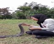 Woman Having Love With Snake from woman with 👧 🔥 18