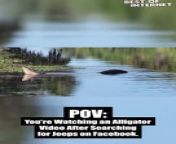 Watch in awe as this clever alligator steals the show by imitating a jeep&#39;s engine sound!You won&#39;t believe your ears! Don&#39;t miss out on the laughter - hit play now! &#60;br/&#62;&#60;br/&#62;WGA ID: WGA129917&#60;br/&#62;&#60;br/&#62;Subscribe for more incredible and funny content everyday!...&#60;br/&#62;&#60;br/&#62;#alligator #funnyanimals #enginesound #wildlifecomedy #viralvideo #laughter #animalantics #hilarious #youtube #contentcreator #comedy #animallover #jeep #nature #entertainment #bestofinternet #viralvideos #animalantics #animalbehavior #animals #animallover &#60;br/&#62;