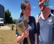 Fourth-generation competitor Layla Maine competed in her first woodchopping event recently, alongside her dad Nigel. Video by Laura Smith