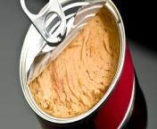 There&#39;s plenty of fish in the sea — and it&#39;s not always easy to decide which ones to eat. So what are the big differences between canned tuna and canned salmon?