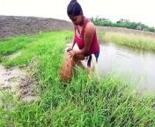 A Girl Catching Catfish _ Very Amazing Fishing _ Incredible Fishing Video on Nice Canal