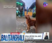 Heto, ang isang aso nga raw from Puerto Princesa, Palawan...candidate sa best paasa moment ng taon?&#60;br/&#62;&#60;br/&#62;&#60;br/&#62;Balitanghali is the daily noontime newscast of GTV anchored by Raffy Tima and Connie Sison. It airs Mondays to Fridays at 10:30 AM (PHL Time). For more videos from Balitanghali, visit http://www.gmanews.tv/balitanghali.&#60;br/&#62;&#60;br/&#62;&#60;br/&#62;#GMAIntegratedNews #KapusoStream&#60;br/&#62;&#60;br/&#62;Breaking news and stories from the Philippines and abroad:&#60;br/&#62;GMA Integrated News Portal: http://www.gmanews.tv&#60;br/&#62;Facebook: http://www.facebook.com/gmanews&#60;br/&#62;TikTok: https://www.tiktok.com/@gmanews&#60;br/&#62;Twitter: http://www.twitter.com/gmanews&#60;br/&#62;Instagram: http://www.instagram.com/gmanews&#60;br/&#62;&#60;br/&#62;GMA Network Kapuso programs on GMA Pinoy TV: https://gmapinoytv.com/subscribe