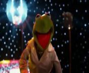 The Muppets return in this Euro-set adventure that pits them against the dastardly Constantine, a dead ringer for Kermit who sparks a fun-filled caper for the gang. Ricky Gervais, Tina Fey, and Ty Burrell head up the human cast, with James Bobin from a script he wrote with Nicholas Stoller.