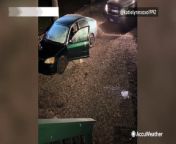 A black bear was filmed inside and then breaking out of a car in the Poconos. The game warden and the car owner were loud enough to scare the bear away.