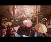 Wonka Bande-annonce (FR) from blak clover film en fr