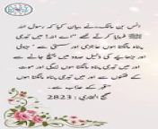 #hadees #dailyhadees #hadith #hadis #dailyblink #islamicstatus #islamicshorts #shorts #trending #daily #ytshorts #hadeessharif &#60;br/&#62;&#60;br/&#62;Disclaimer:&#60;br/&#62;The content presented in our daily Hadith (Hadees) videos is intended solely for educational purposes. These videos aim to provide information about Islamic teachings, traditions, and sayings of Prophet Muhammad (peace be upon him). The content is not intended to endorse any particular interpretation or perspective, and viewers are encouraged to seek guidance from understanding of Islamic teachings. We strive to present authentic and accurate information, but viewers are advised to verify the content independently. The channel is not responsible for any misuse or misinterpretation of the information provided. We promote a spirit of learning, tolerance, and understanding in the pursuit of knowledge.&#60;br/&#62;&#60;br/&#62;Today&#39;s Hadith:&#60;br/&#62;&#60;br/&#62;Narrated Anas bin Malik:&#60;br/&#62;&#60;br/&#62;The Prophet (ﷺ) used to say, &#92;