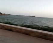 A trip to Kanchhar lake Sindh near Thatha from aunty video beautiful