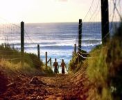 Home and Away 8236 4th April 2024 from 4th punishment day