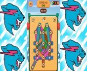 wood nuts & bolts screw puzzle level43 from level u2