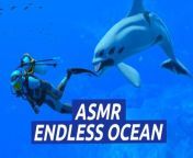 Endless Ocean Luminous — Sounds of the Sea — Nintendo Switch from sound aunty