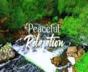 Beautiful Relaxing Music - Peaceful Soothing Instrumental Music, Stress Relief, Deep Focus Music from instrumental mp3