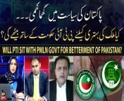 Will PTI sit with PMLN govt for betterment of Pakistan? from martha govt movie