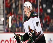 Arizona Coyotes could be Moving to Utah in Coming Years from az del