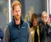 Prince Harry may be replaced at Invictus games by Mike Tindall as event is ‘too royal’ from harry potter 2