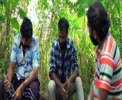 Thurathi Malayile Thiruthukal 2024 Malayalam full | A to-do from sanusha santhosh movie malayalam