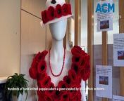 Gillin Park Community red poppy dress | Warrnambool Staqndard 2024 from heesun park