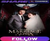 flash marriage with my alpha PART 1 - Comva Studio from series online flash temporada