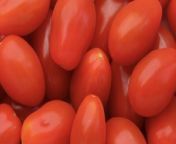 8 Tips for Growing Cherry Tomato Plants That Will Thrive All Season from dude tip