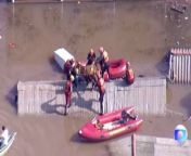 Horse stranded on roof during floods in Brazil rescued by boatTV Globo via Reuters