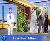 Taiwan&#39;s Centers for Disease Control has reported the highest number of domestic dengue fever cases for this time of year since 2016, with 163 confirmed infections by the end of April.Health officials say recent rainfall has created more breeding sites for mosquitos.