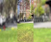 Viral video of “love-making couple” in NYC park causes outrage from south park intro