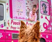 A mum who quit her air hostess job to work with dogs has launched her latest venture - an ice cream van exclusively for pooches.&#60;br/&#62;&#60;br/&#62;Emmie Stevens, 36, opened Poochies Pupsicles on March 31 - and says business is booming.&#60;br/&#62;&#60;br/&#62;Based in south London, she is making the van available for hire - and is planning to hit the road this summer.&#60;br/&#62;&#60;br/&#62;Emmie, a mum-of-one, left her cabin crew role 15 years ago to work as a groomer after realising dogs were her &#92;