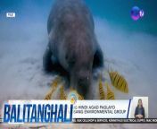 Sinakyan ng mga bata ang dugong!&#60;br/&#62;&#60;br/&#62;&#60;br/&#62;Balitanghali is the daily noontime newscast of GTV anchored by Raffy Tima and Connie Sison. It airs Mondays to Fridays at 10:30 AM (PHL Time). For more videos from Balitanghali, visit http://www.gmanews.tv/balitanghali.&#60;br/&#62;&#60;br/&#62;#GMAIntegratedNews #KapusoStream&#60;br/&#62;&#60;br/&#62;Breaking news and stories from the Philippines and abroad:&#60;br/&#62;GMA Integrated News Portal: http://www.gmanews.tv&#60;br/&#62;Facebook: http://www.facebook.com/gmanews&#60;br/&#62;TikTok: https://www.tiktok.com/@gmanews&#60;br/&#62;Twitter: http://www.twitter.com/gmanews&#60;br/&#62;Instagram: http://www.instagram.com/gmanews&#60;br/&#62;&#60;br/&#62;GMA Network Kapuso programs on GMA Pinoy TV: https://gmapinoytv.com/subscribe