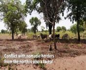 For decades, cotton has sustained southern Chad. But the prized crop is now under threat as cotton farmers are struck by climate change and conflict with herders. In Kagtaou, some say they have been &#92;