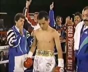 Highlights of the fantastic and undefeated former Minimumweight and Light Flyweight champion.&#60;br/&#62;&#60;br/&#62;Ricardo Lopez - Is a Mexican former professional boxer who competed from 1985 to 2001. He was a two-weight world champion, having held the WBC Minimumweight title from 1990 to 1998, defending it against a record-breaking 21 opponents; the WBA and WBO Minimumweight titles between 1997 and 1998; and the IBF Light Flyweight title from 1999 until his retirement in 2001. He is one of just fifteen world boxing champions to retire without a loss. López was inducted into the International Boxing Hall of Fame and World Boxing Hall of Fame in 2007.&#60;br/&#62;&#60;br/&#62;PayPal donations: hanzagod@mail.com&#60;br/&#62;YouTube: https://www.youtube.com/haNZAgod&#60;br/&#62;TikTok: https://www.tiktok.com/@hanzagod_1&#60;br/&#62;Patreon: https://www.patreon.com/haNZAgod&#60;br/&#62;Instagram: https://www.instagram.com/hanzagod_1&#60;br/&#62;Facebook: https://www.facebook.com/haNZAgod1&#60;br/&#62;&#60;br/&#62;Highlights Knockouts Tribute&#60;br/&#62;------------------------------------------------&#60;br/&#62;&#60;br/&#62;haNZAgod&#60;br/&#62;&#60;br/&#62;***Additional TAGS***&#60;br/&#62;&#60;br/&#62;#boxing #ricardolopez #rosendoalvarez #alexsanchez #juanmanuelmarquez #highlight #ko #knockout #tribute #power #speed #minimumweight #champion #legend #mexico #greatest #underrated #undefeated #perfect #highlightreel #training #technique #motivation #boxinghistory #hanzagod
