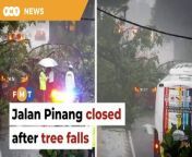 This comes after a large tree came crashing down on Jalan Sultan Ismail last week, killing one man and disrupting monorail services.&#60;br/&#62;&#60;br/&#62;&#60;br/&#62;Read More: https://www.freemalaysiatoday.com/category/nation/2024/05/13/jalan-pinang-temporarily-closed-after-tree-falls/ &#60;br/&#62;&#60;br/&#62;&#60;br/&#62;Free Malaysia Today is an independent, bi-lingual news portal with a focus on Malaysian current affairs.&#60;br/&#62;&#60;br/&#62;Subscribe to our channel - http://bit.ly/2Qo08ry&#60;br/&#62;------------------------------------------------------------------------------------------------------------------------------------------------------&#60;br/&#62;Check us out at https://www.freemalaysiatoday.com&#60;br/&#62;Follow FMT on Facebook: https://bit.ly/49JJoo5&#60;br/&#62;Follow FMT on Dailymotion: https://bit.ly/2WGITHM&#60;br/&#62;Follow FMT on X: https://bit.ly/48zARSW &#60;br/&#62;Follow FMT on Instagram: https://bit.ly/48Cq76h&#60;br/&#62;Follow FMT on TikTok : https://bit.ly/3uKuQFp&#60;br/&#62;Follow FMT Berita on TikTok: https://bit.ly/48vpnQG &#60;br/&#62;Follow FMT Telegram - https://bit.ly/42VyzMX&#60;br/&#62;Follow FMT LinkedIn - https://bit.ly/42YytEb&#60;br/&#62;Follow FMT Lifestyle on Instagram: https://bit.ly/42WrsUj&#60;br/&#62;Follow FMT on WhatsApp: https://bit.ly/49GMbxW &#60;br/&#62;------------------------------------------------------------------------------------------------------------------------------------------------------&#60;br/&#62;Download FMT News App:&#60;br/&#62;Google Play – http://bit.ly/2YSuV46&#60;br/&#62;App Store – https://apple.co/2HNH7gZ&#60;br/&#62;Huawei AppGallery - https://bit.ly/2D2OpNP&#60;br/&#62;&#60;br/&#62;#FMTNews #TreeFall #JalanPinang