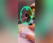 Cool Inventions And Gadgets on TikTok! from periscope live lovelygirl 05 tiktok periscope live broadcast livestream