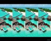 Maldives vlog&#60;br/&#62;Have you been to the Maldives before ?&#60;br/&#62;&#60;br/&#62;Support the growth of the channel by going to one of these links and subscribing :&#60;br/&#62;&#60;br/&#62; www.nexusx.one&#60;br/&#62; heylink.me/nikiel&#60;br/&#62;&#60;br/&#62;Developed by: Nikiel kamrajh