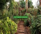 Elevate your Flower Mound property with professional walkway installation services. Our expert team designs and installs custom pathways, blending seamlessly with your landscape. From enhancing curb appeal to promoting safety and accessibility, our quality craftsmanship transforms outdoor spaces, paving the way for a beautiful and functional environment.&#60;br/&#62;https://landscapeexpressdfw.com/&#60;br/&#62;