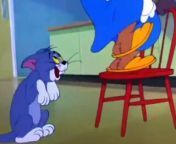 Tom And Jerry - 061 - Nit Witty Kitty (1951) S1950e15