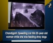 A 25-year-old woman in Chandigarh suffered serious injuries after a speeding car rammed into her, while she was feeding stray dogs, police said. The incident pertains to Saturday night, when the woman was feeding stray dogs at Chandigarh&#39;s Sector 53, she was hit by a speeding vehicle. The woman was rushed to the hospital and is under treatment at Sector 16. Police&#39;s investigation into this matter is under way.